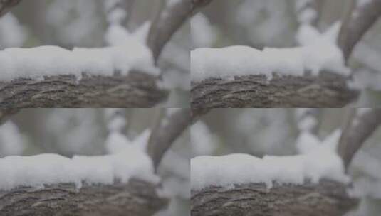 北京雪景 北京下雪高清在线视频素材下载