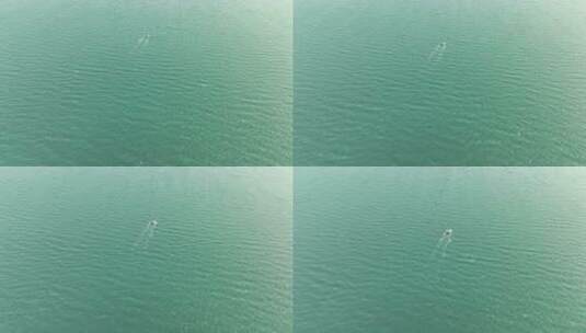 碧绿海水海面上一只行驶的渔船海上风景风光高清在线视频素材下载