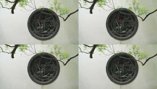 杭州虎跑白墙黑瓦的江南园林围墙前的树枝高清在线视频素材下载