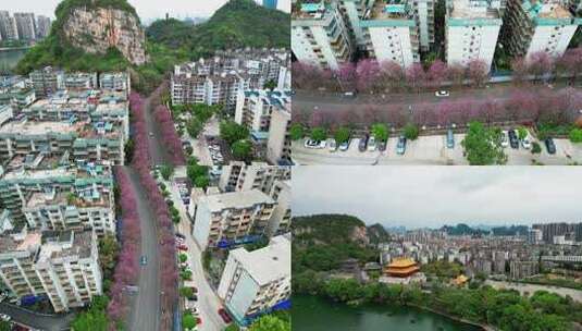 柳州水南路紫金花文庙文惠桥航拍高清在线视频素材下载