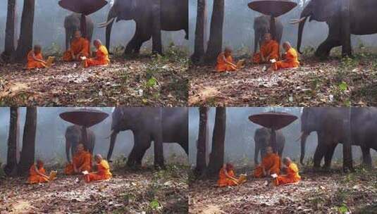 坐在森林中的僧侣与大象高清在线视频素材下载