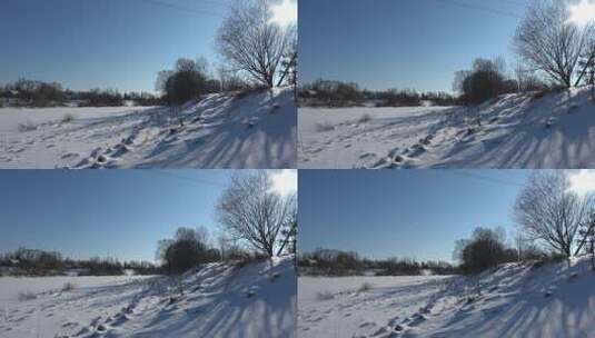 被雪覆盖的地面高清在线视频素材下载