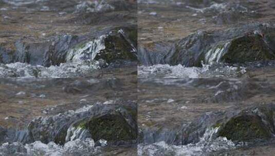 河流瀑布 (1)高清在线视频素材下载