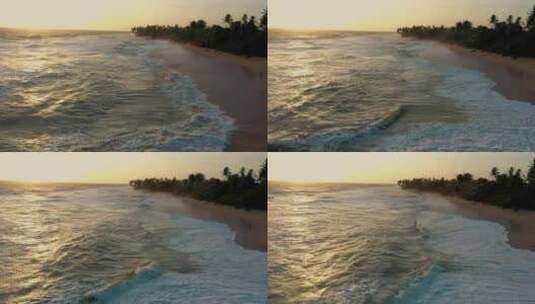 日落时沙滩上的波浪，棕榈树高清在线视频素材下载