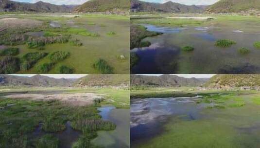 云南航拍泸沽湖草海湿地高清在线视频素材下载