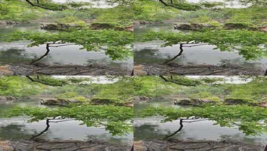 雨中济南护城河，天下第一泉黑虎泉白石桥高清在线视频素材下载