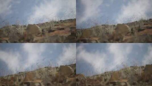 蓝天白云草原土坡石头地里生长的草高清在线视频素材下载