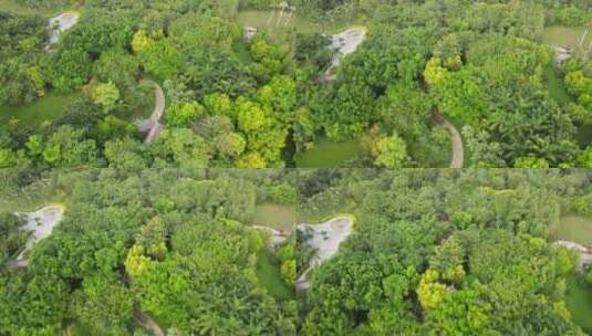 深圳新区航拍绿化树木公园高清在线视频素材下载