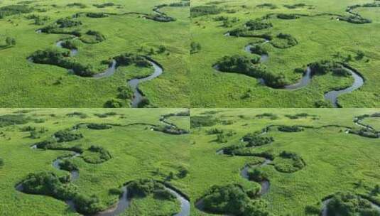 航拍森林湿地蜿蜒的河湾高清在线视频素材下载