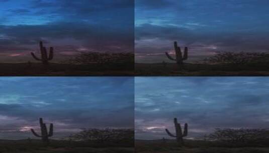 垂直视频Saguaro和Cholla Cacti与Clouds Timelapse高清在线视频素材下载