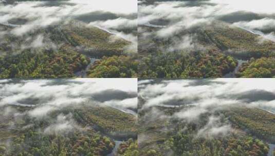 航拍秋季森林河流晨雾缭绕高清在线视频素材下载