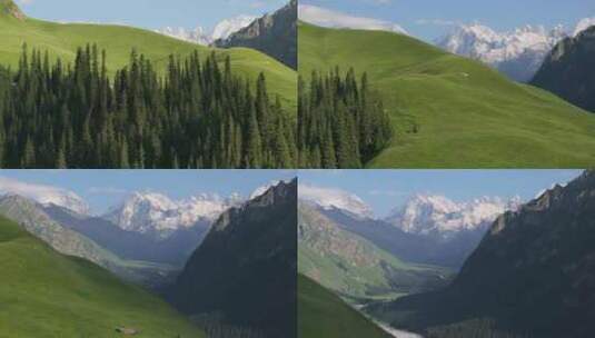 航拍夏季新疆伊犁夏塔景区风景高清在线视频素材下载