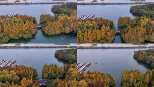 夕阳下的中国杭州西湖杨公堤高清在线视频素材下载
