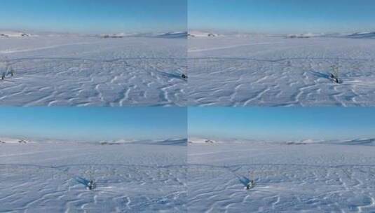 呼伦贝尔冬季雪景白雪覆盖的田野高清在线视频素材下载