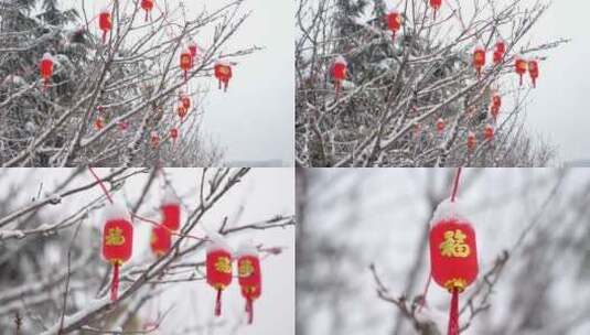 雪景树上挂的红灯笼高清在线视频素材下载