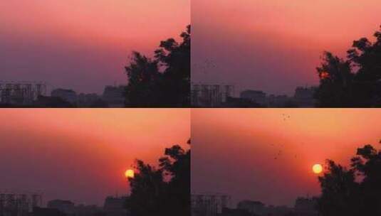朝阳夕阳唯美风景实拍素材高清在线视频素材下载
