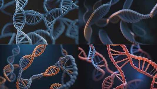 动画素材一组DNA链生物医学cg素材高清在线视频素材下载
