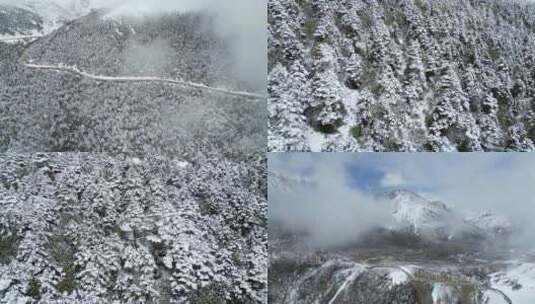 唯美冬天雪景树林雾凇大雪冬季小寒高清在线视频素材下载