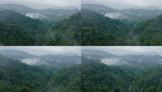 空中俯瞰浓密的青山，阴天有植被。台湾景观高清在线视频素材下载