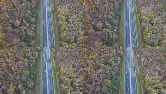 航拍视角伊春秋天公路高清在线视频素材下载