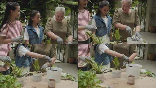 老年妇女和两个孙女正在种植室内植物高清在线视频素材下载