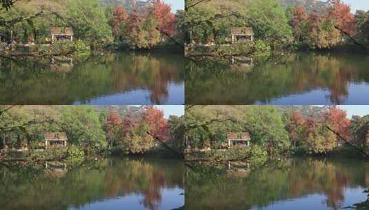 秋天阳光湖水秋叶美丽苏州天平山秋景高清在线视频素材下载