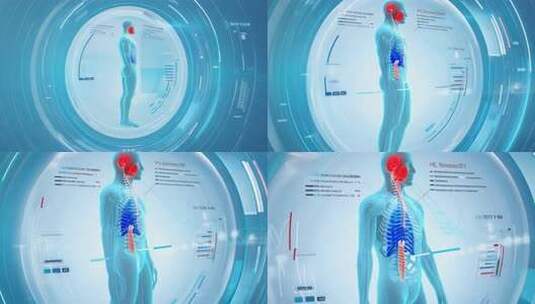 人体内部结构展示的医学科教片高清在线视频素材下载
