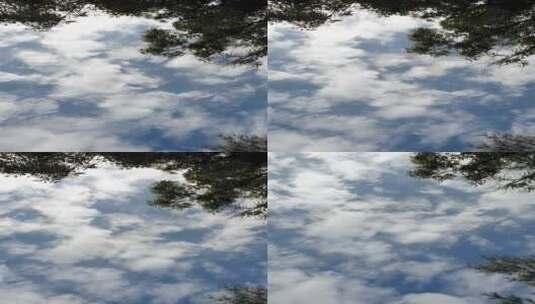 仰拍树木云层的竖屏高清在线视频素材下载