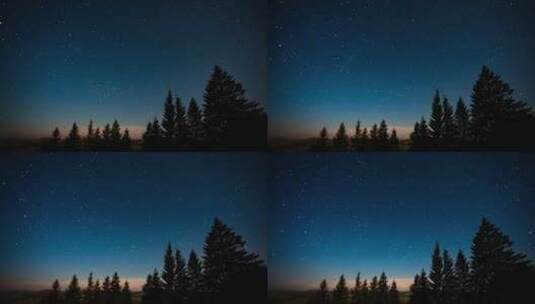森林里宁静之夜的星空高清在线视频素材下载
