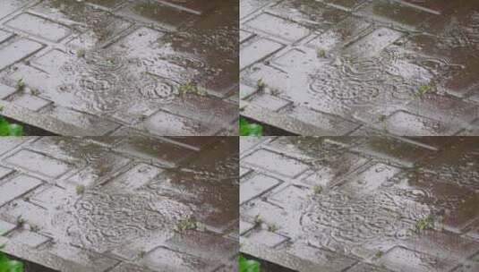雨滴落在地上高清在线视频素材下载
