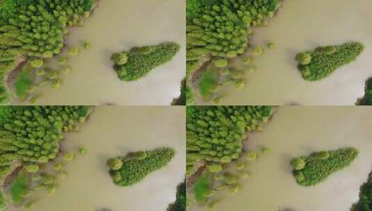 春天广州湿地公园航拍高清在线视频素材下载
