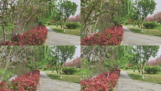 春天公园景色高清在线视频素材下载