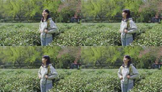 春天年轻女孩郊游茶园背包走路穿过清新茶树高清在线视频素材下载