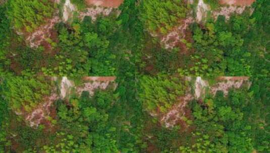 航拍山中的森林高清在线视频素材下载