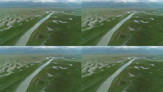 新疆夏季草原风景羊群河边吃草高清在线视频素材下载