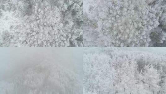 秦岭雪景  冬天 航拍 雪高清在线视频素材下载