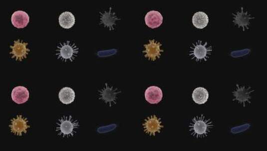 6种细菌（带alpha通道）高清在线视频素材下载