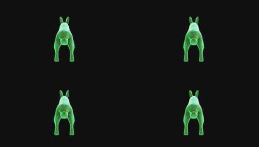 4K-玉兔奔跑-后视图高清在线视频素材下载