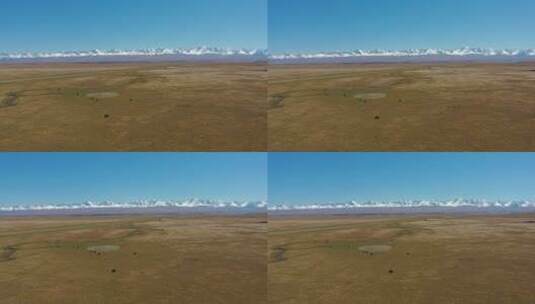 新疆旅行独库公路巴音布鲁克草原自然风光高清在线视频素材下载