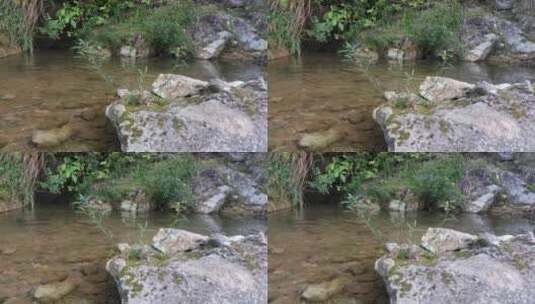 山林中的溪水高清在线视频素材下载