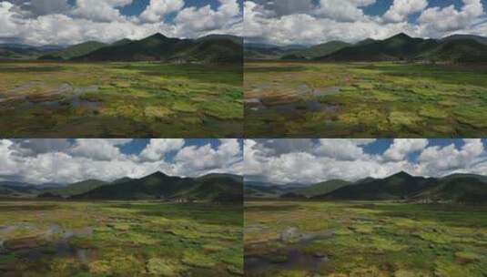 四川凉山州泸沽湖草海自然风光航拍高清在线视频素材下载