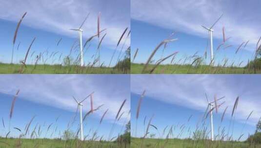 风能风车风力发电环保绿色白茅草风电能源高清在线视频素材下载