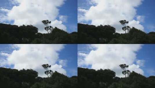 森林上空的白云景观高清在线视频素材下载