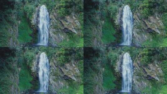 高黎贡山 百花岭 森林中的瀑布高清在线视频素材下载
