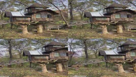 济南红叶谷景区，红叶满山迎来最佳观赏高清在线视频素材下载