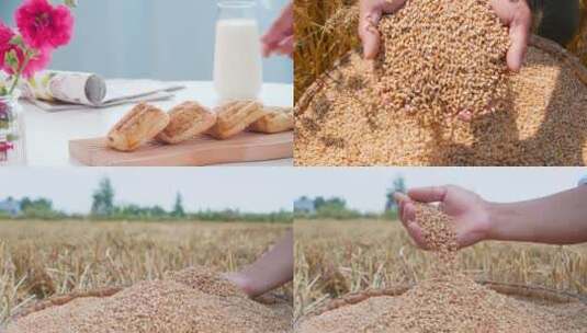麦田面粉高清在线视频素材下载