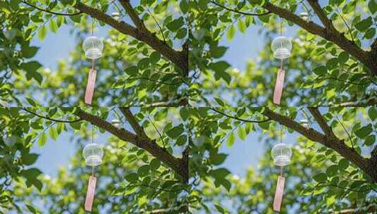 夏天风铃树下许愿清新治愈系唯美场景高清在线视频素材下载