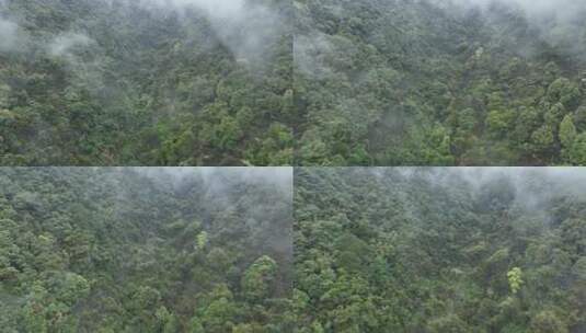 烟雨云雾缥缈的大山高清在线视频素材下载