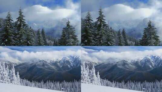 雪山雪松雪景雪后风景延时摄影高清在线视频素材下载