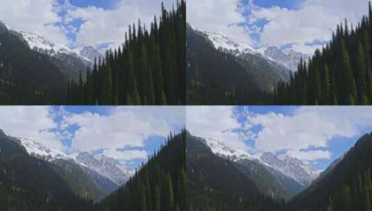 新疆伊犁草原雪山风景高清在线视频素材下载